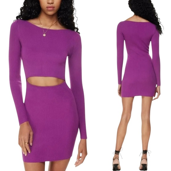 Aritzia Wilfred Free Cut Out Knit Ling Sleeve Mini Dress Bodycon Purple Size XS - Picture 1 of 13